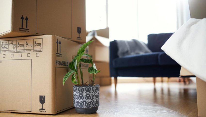 Packers and Movers Kalyan