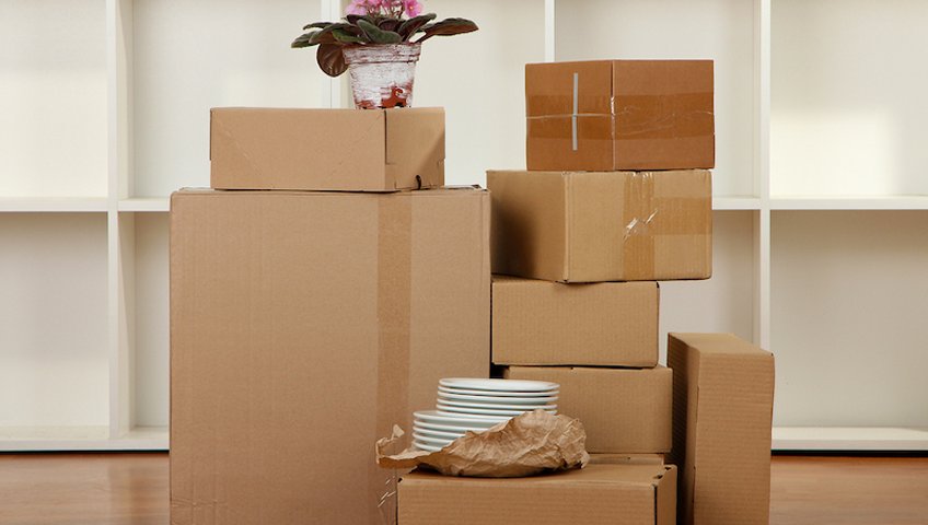 Packers and Movers Fort